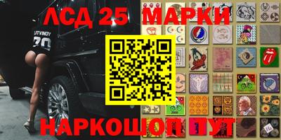 дмт Пушкино