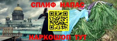 дмт Пушкино