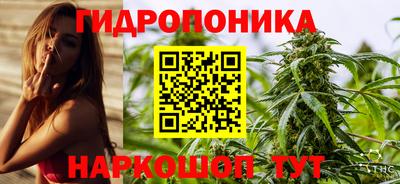 дмт Пушкино