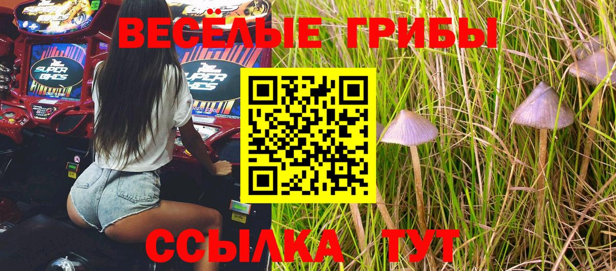 Псилоцибиновые грибы Magic Shrooms Рубцовск